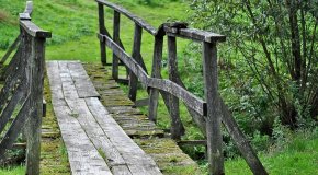 bridge