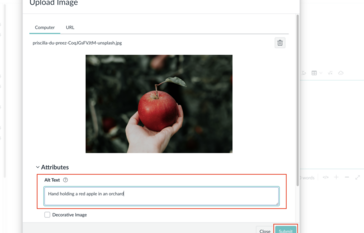 hand holding a red apple in a field