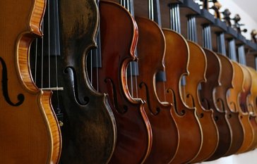 Cellos