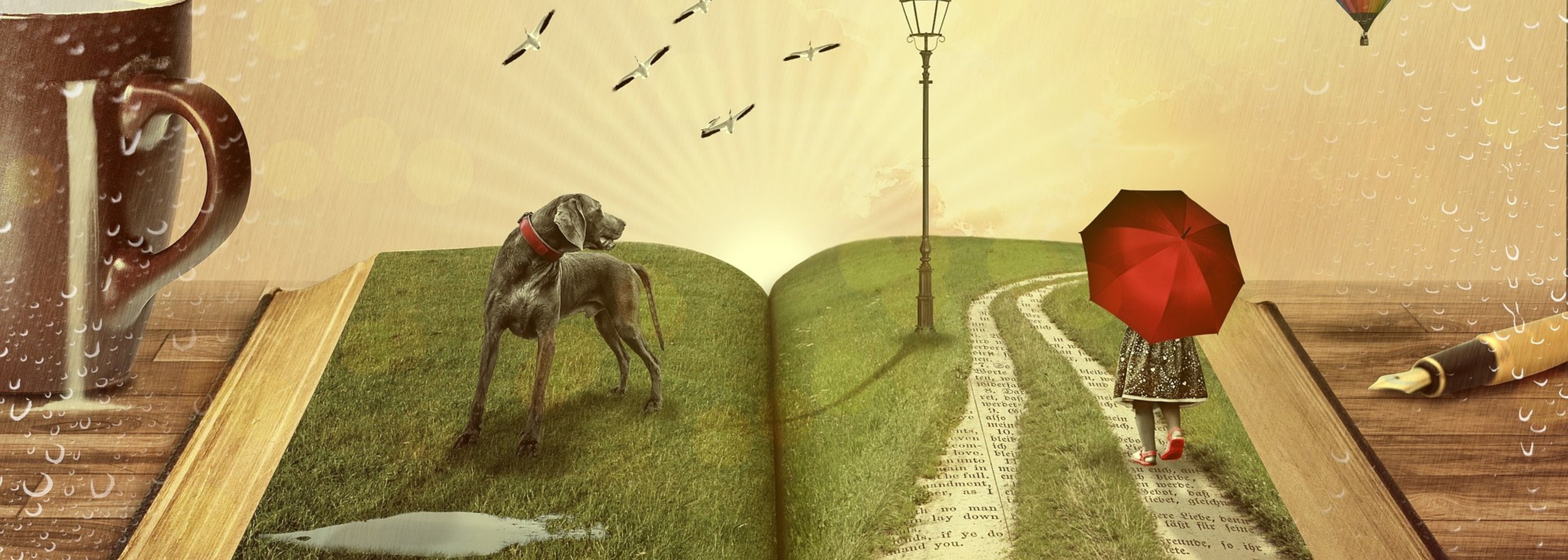 Open book illustration
